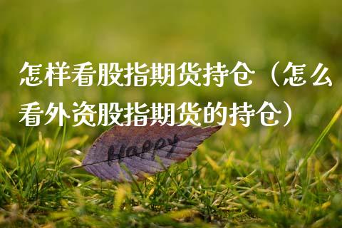 怎样看股指期货持仓（怎么看外资股指期货的持仓）_https://www.xmqjcw.com_期货直播室_第1张