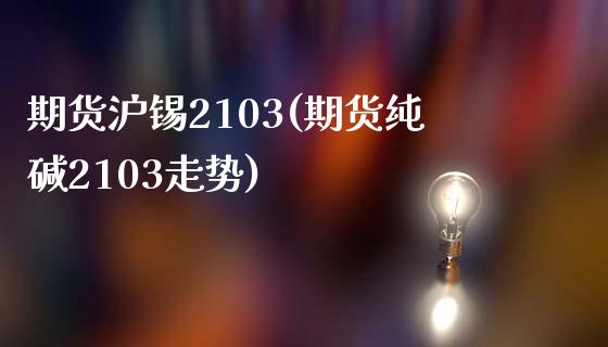 期货沪锡2103(期货纯碱2103走势)_https://www.xmqjcw.com_期货开户_第1张