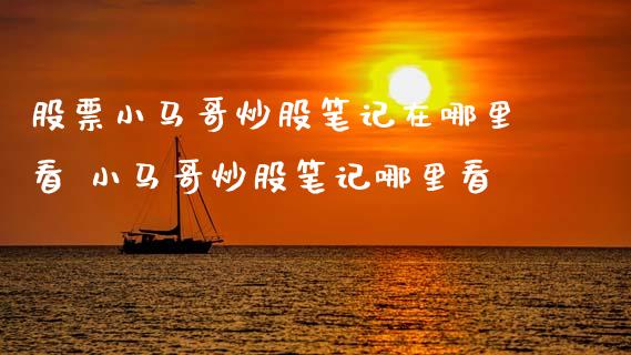 股票小马哥炒股笔记在哪里看 小马哥炒股笔记哪里看_https://www.xmqjcw.com_股票投资_第1张