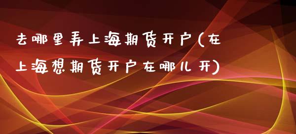 去哪里弄上海期货开户(在上海想期货开户在哪儿开)_https://www.xmqjcw.com_期货百科_第1张