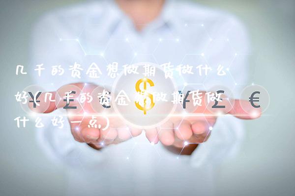 几千的资金想做期货做什么好(几千的资金想做期货做什么好一点)_https://www.xmqjcw.com_股票投资_第1张