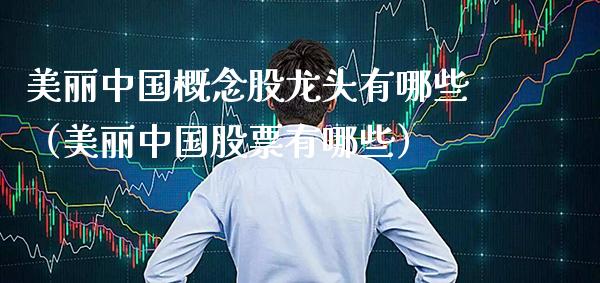 美丽中国概念股龙头有哪些（美丽中国股票有哪些）_https://www.xmqjcw.com_股票投资_第1张