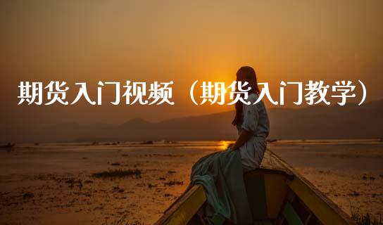 期货入门视频（期货入门教学）_https://www.xmqjcw.com_期货直播室_第1张