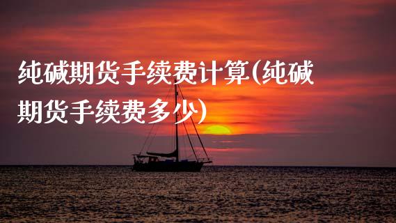 纯碱期货手续费计算(纯碱期货手续费多少)_https://www.xmqjcw.com_期货行情_第1张