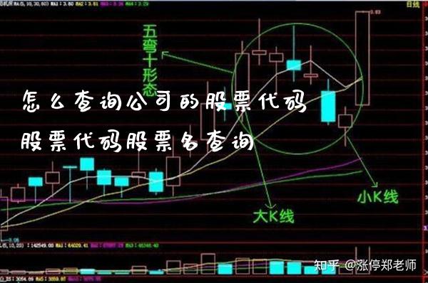 怎么查询公司的股票代码 股票代码股票名查询_https://www.xmqjcw.com_股票投资_第1张