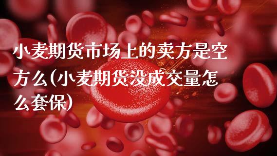 小麦期货市场上的卖方是空方么(小麦期货没成交量怎么套保)_https://www.xmqjcw.com_期货直播室_第1张