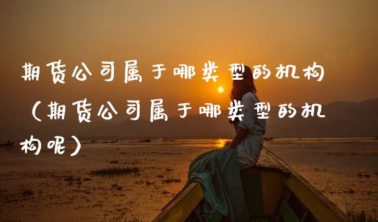 期货公司属于哪类型的机构（期货公司属于哪类型的机构呢）_https://www.xmqjcw.com_期货投资_第1张