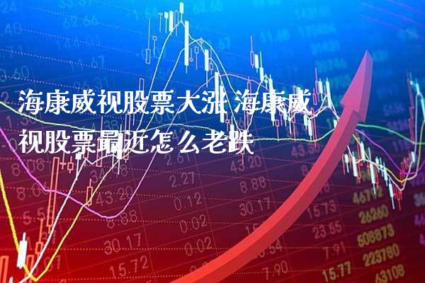 海康威视股票大涨 海康威视股票最近怎么老跌_https://www.xmqjcw.com_股票投资_第1张