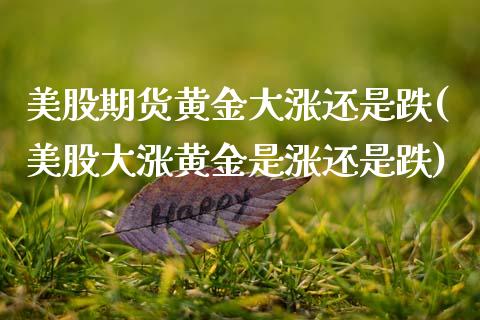 美股期货黄金大涨还是跌(美股大涨黄金是涨还是跌)_https://www.xmqjcw.com_期货百科_第1张