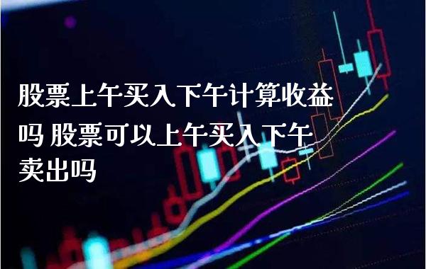 股票上午买入下午计算收益吗 股票可以上午买入下午卖出吗_https://www.xmqjcw.com_股票投资_第1张