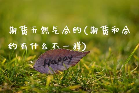 期货天然气合约(期货和合约有什么不一样)_https://www.xmqjcw.com_期货百科_第1张