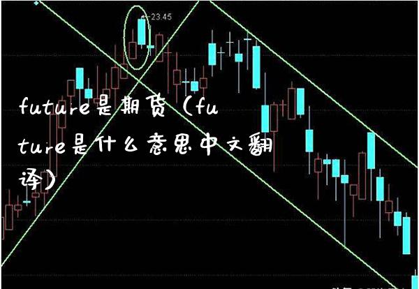future是期货（future是什么意思中文）_https://www.xmqjcw.com_期货投资_第1张