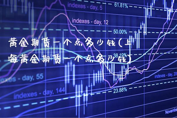 黄金期货一个点多少钱(上海黄金期货一个点多少钱)_https://www.xmqjcw.com_期货投资_第1张