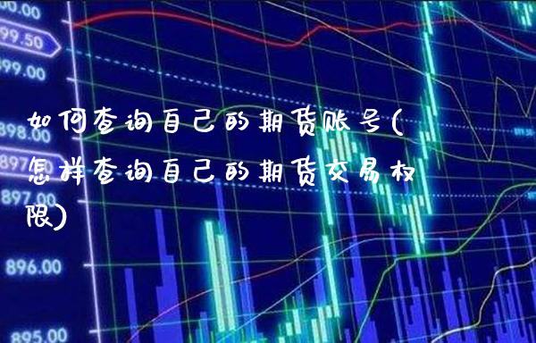 如何查询自己的期货账号(怎样查询自己的期货交易权限)_https://www.xmqjcw.com_股票投资_第1张