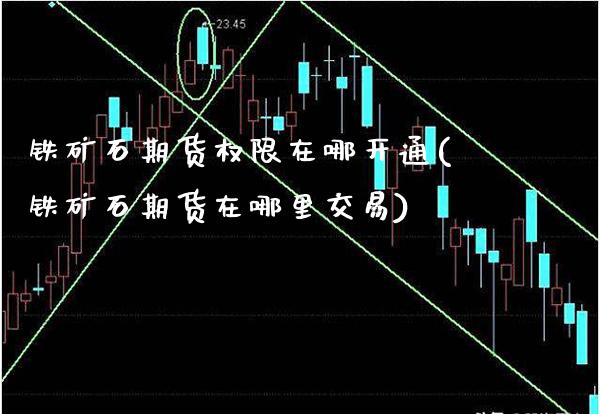 铁矿石期货权限在哪开通(铁矿石期货在哪里交易)_https://www.xmqjcw.com_期货百科_第1张