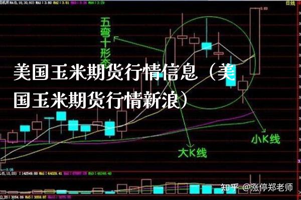 美国玉米期货行情信息（美国玉米期货行情新浪）_https://www.xmqjcw.com_期货直播室_第1张