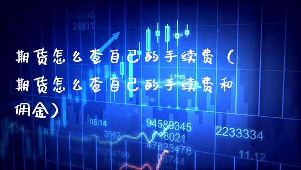 期货怎么查自己的手续费（期货怎么查自己的手续费和佣金）_https://www.xmqjcw.com_期货行情_第1张
