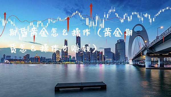 期货黄金怎么操作（黄金期货怎么操作才赚钱）_https://www.xmqjcw.com_期货开户_第1张