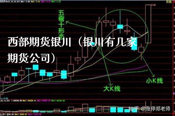 西部期货银川（银川有几家期货公司）_https://www.xmqjcw.com_期货直播室_第1张