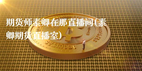 期货师素卿在那直播间(素卿期货直播室)_https://www.xmqjcw.com_期货百科_第1张