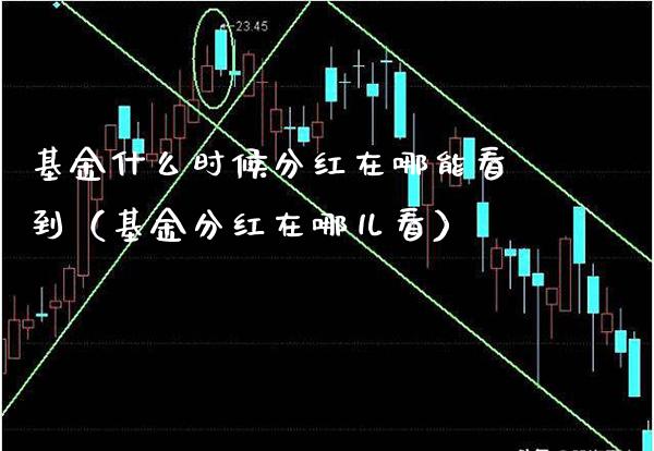 基金什么时候分红在哪能看到（基金分红在哪儿看）_https://www.xmqjcw.com_基金理财_第1张