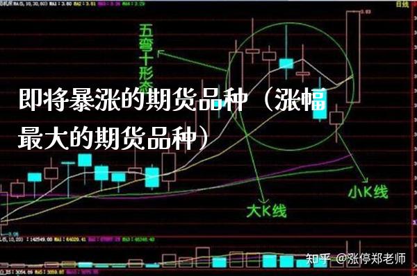即将暴涨的期货品种（涨幅最大的期货品种）_https://www.xmqjcw.com_期货行情_第1张