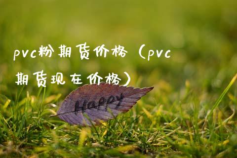 pvc粉期货价格（pvc期货现在价格）_https://www.xmqjcw.com_期货投资_第1张
