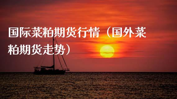 国际菜粕期货行情（国外菜粕期货走势）_https://www.xmqjcw.com_期货投资_第1张