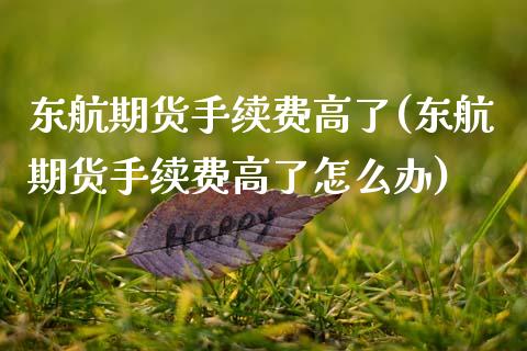 东航期货手续费高了(东航期货手续费高了怎么办)_https://www.xmqjcw.com_股票投资_第1张