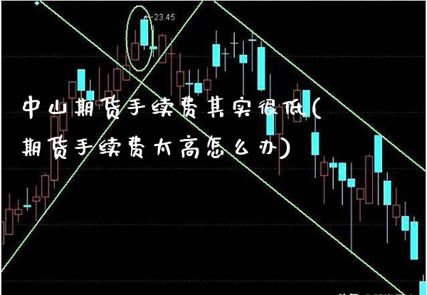 中山期货手续费其实很低(期货手续费太高怎么办)_https://www.xmqjcw.com_期货百科_第1张