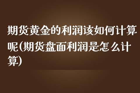 期货黄金的利润该如何计算呢(期货盘面利润是怎么计算)_https://www.xmqjcw.com_基金理财_第1张