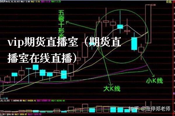 vip期货直播室（期货直播室在线直播）_https://www.xmqjcw.com_期货投资_第1张