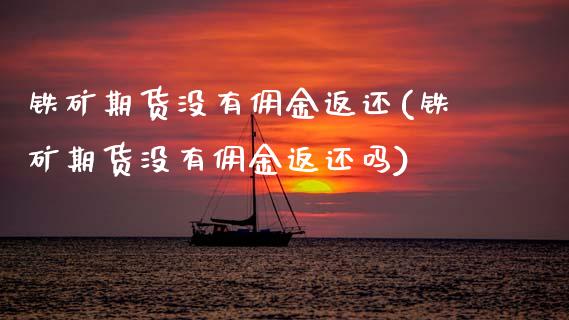 铁矿期货没有佣金返还(铁矿期货没有佣金返还吗)_期货百科_第1张_秦聚理财 铁矿期货没有佣金返还(铁矿期货没有佣金返还吗)_https://www.xmqjcw.com_期货百科_第1张