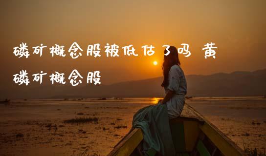 磷矿概念股被低估了吗 黄磷矿概念股_https://www.xmqjcw.com_股票投资_第1张