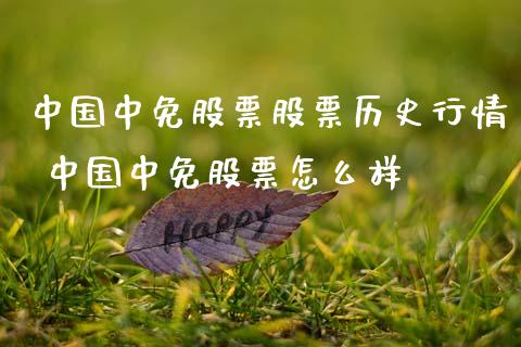 中国中免股票股票历史行情 中国中免股票怎么样_https://www.xmqjcw.com_股票投资_第1张