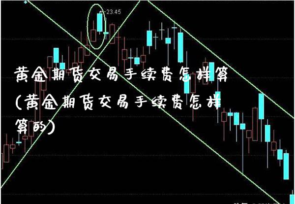 黄金期货交易手续费怎样算(黄金期货交易手续费怎样算的)_https://www.xmqjcw.com_期货投资_第1张