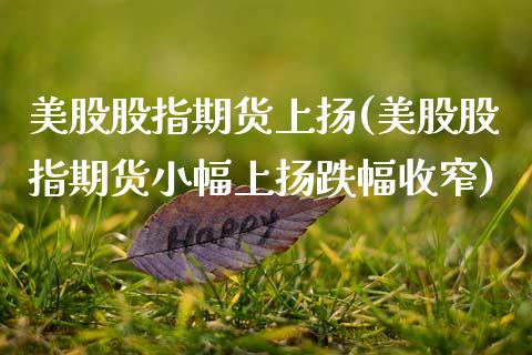 美股股指期货上扬(美股股指期货小幅上扬跌幅收窄)_https://www.xmqjcw.com_期货百科_第1张
