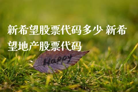 新希望股票代码多少 新希望地产股票代码_https://www.xmqjcw.com_股票投资_第1张