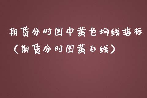 期货分时图中**均线指标（期货分时图黄白线）_https://www.xmqjcw.com_期货投资_第1张