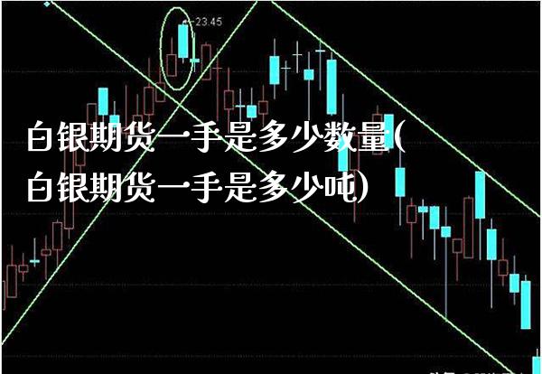 白银期货一手是多少数量(白银期货一手是多少吨)_https://www.xmqjcw.com_期货投资_第1张