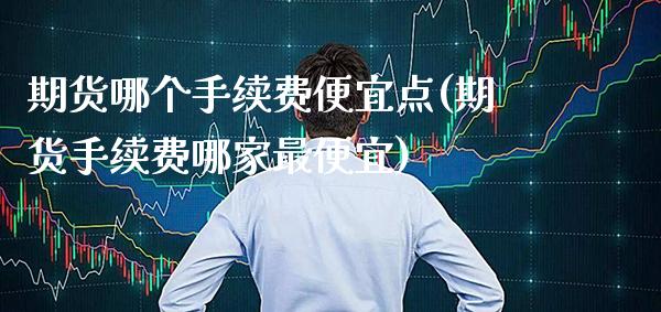 期货哪个手续费便宜点(期货手续费哪家最便宜)_https://www.xmqjcw.com_期货百科_第1张