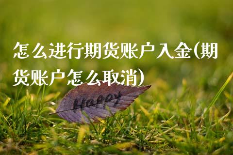 怎么进行期货账户入金(期货账户怎么取消)_https://www.xmqjcw.com_期货开户_第1张