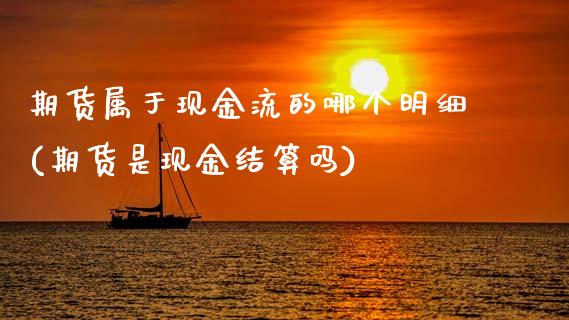 期货属于现金流的哪个明细(期货是现金结算吗)_https://www.xmqjcw.com_期货直播室_第1张