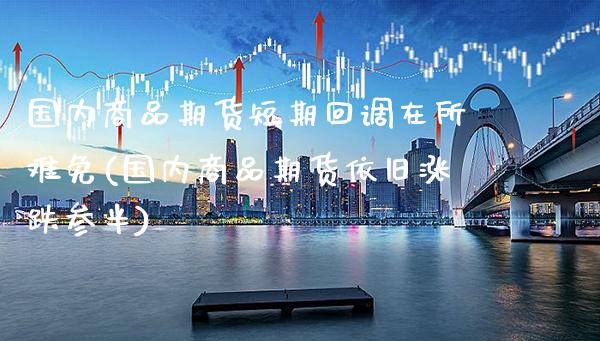 国内商品期货短期回调在所难免(国内商品期货依旧涨跌参半)_https://www.xmqjcw.com_期货开户_第1张