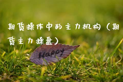 期货操作中的主力机构（期货主力操盘）_https://www.xmqjcw.com_期货开户_第1张