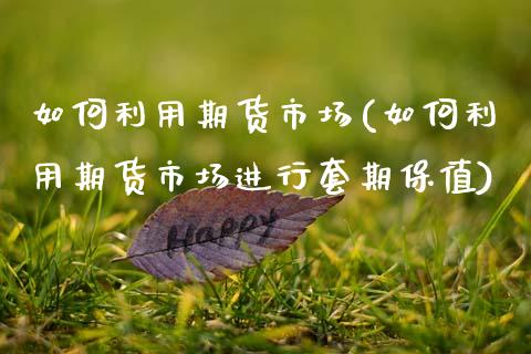 如何利用期货市场(如何利用期货市场进行套期保值)_https://www.xmqjcw.com_期货百科_第1张