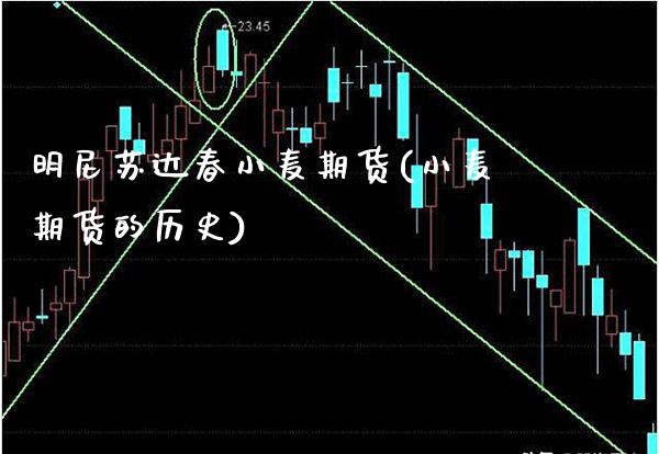 明尼苏达春小麦期货(小麦期货的历史)_https://www.xmqjcw.com_期货投资_第1张