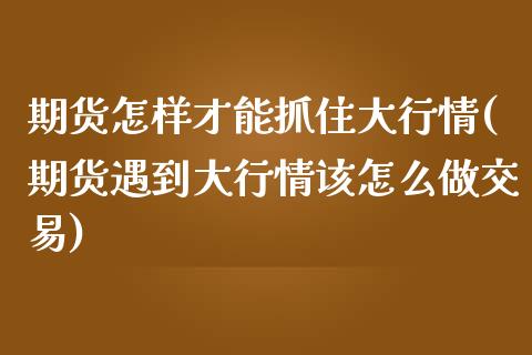 期货怎样才能抓住大行情(期货遇到大行情该怎么做交易)_https://www.xmqjcw.com_期货开户_第1张