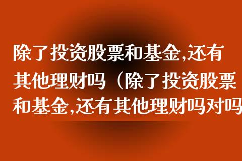 除了投资股票和基金,还有其他理财吗（除了投资股票和基金,还有其他理财吗对吗）_https://www.xmqjcw.com_基金理财_第1张
