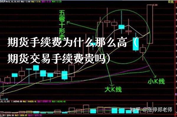 期货手续费为什么那么高（期货交易手续费贵吗）_https://www.xmqjcw.com_期货投资_第1张